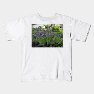 Flowering Sage Kids T-Shirt